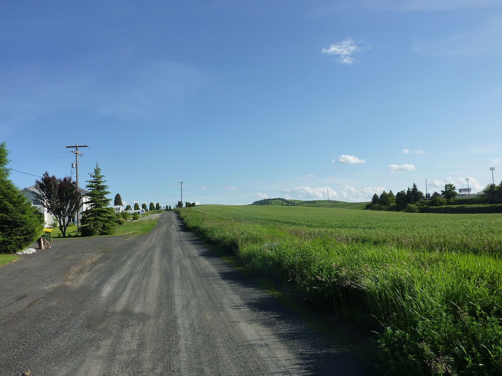 Reardan Road
